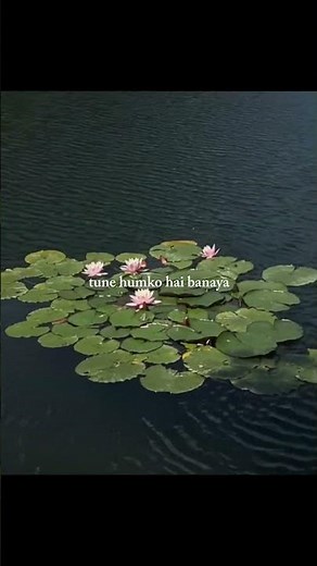 Hum Mar Jayenge || Aashiqui 2 (2013) || Arijit Singh, Tulsi Kumar || Lyrics Video || #love #lyrics