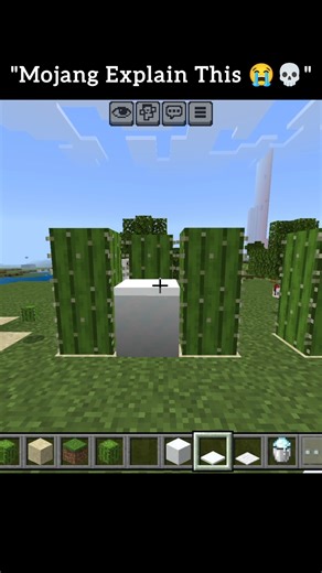 "What Is This Mojang 😭💀"