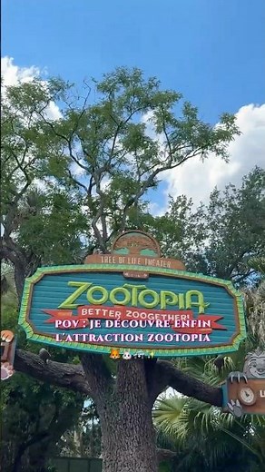Je découvre l’attraction Zootopie ! 🦊🐰✨😍 #zootopie #disney #dessinanime #disneyfans