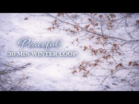 Snowy Forest Stillness ❄️ 30 Min Winter Ambient Loop