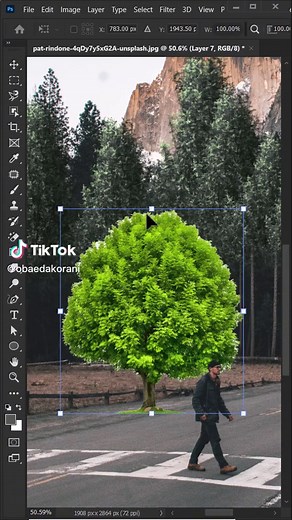 Graphic Design Tutorial: Creating Trees in Photoshop