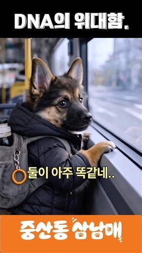 DNA는 위대해. #강아지 #중산동 #남매 #삼남매 #siblings