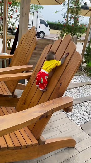 @Monkey HONEY cute #monkey #monkeybaby #monkeydluffy #animals #trendingvideo #trending #funny #babycute #monkeyface #viral #fyp