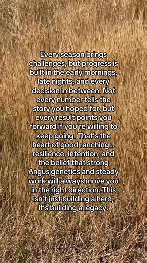 Every season has a purpose. Every choice builds the future. #BaalmanAngus #farmerlife #CattleBusiness #CattlePerformance #AngusBeef