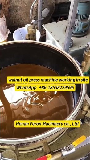 Cold pressed walnut oil extraction process in customer site #coldpressing #oilpress