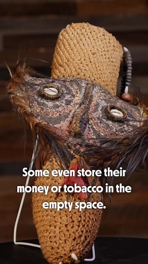 Boasting a diverse wardrobe, the Dania people's koteka are crafted from gourds or woven materials and adorned with paint, feathers, and cowry shells. #newguinea #indigenoustiktok #history #historytok #historyfacts #ripleysbelieveitornot #ripleysrarities