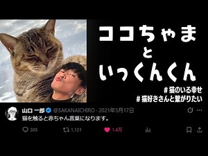 いっくんくんが愛猫ココちゃまにメロメロで紅白出場報告 (サカナクション 山口一郎) 【w/ ENGLISH & JAPANESE SUBTITLES】