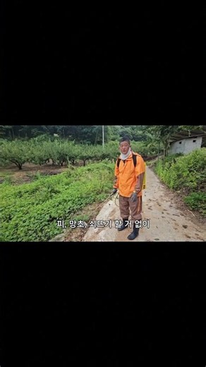 최초의 알약 제초제? 효과도 좋다?