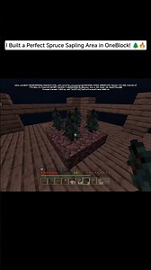 I Built a Perfect Spruce Sapling Area in OneBlock! 🌲🔥