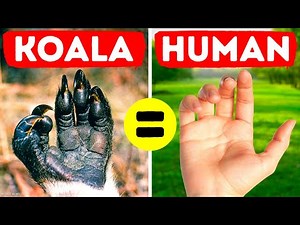 36 Rare Animal Facts You Forgot to Google