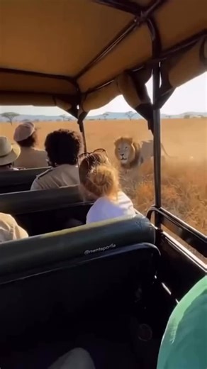 mo_creativestudio on Instagram