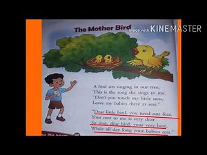 The Mother Bird (Poem)