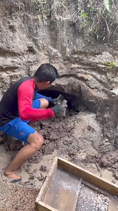 1.5K views · 788 reactions | gold mining using sluice box filtering #goldmining #sluicebox #goldfilter | Nepri Andries | Facebook