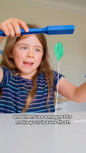 249K views · 1.1K reactions | FLOATING LEAVES  This simple science...