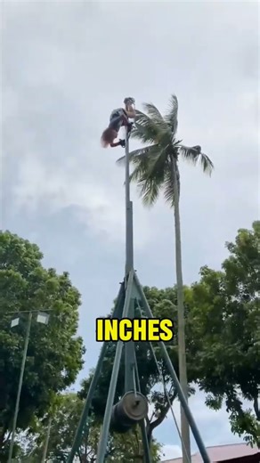 POV: You Try the World’s Scariest Swing Ride… and Survive 😱