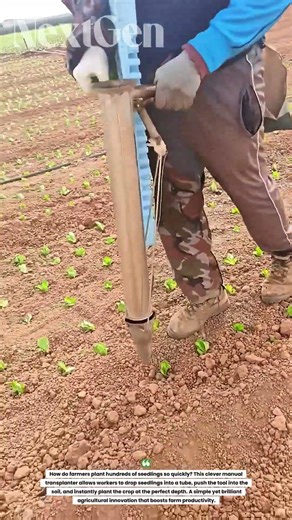 Amazing Farm Tool! This Device Plants Seedlings in Seconds