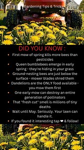 522K views · 6.7K reactions | Queen bumblebees just emerged....