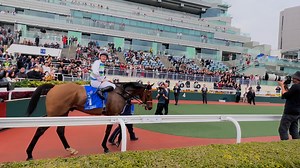 26K views · 359 reactions | 「遨遊氣泡」勝出一級賽香港金盃，與麥道朗接受欄邊馬迷歡呼。 | 超班馬簿 HK Racing Post | Facebook