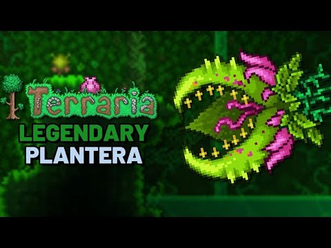 The EASIEST Way to Beat LEGENDARY MODE Plantera!!