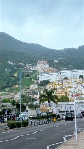 Exploring Gibraltar | Monkeys, History & Epic Views #shorts #travel #europe #memories #grateful