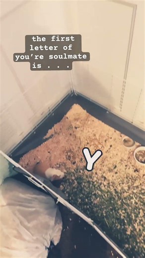 What is the letter first letter of your￼ soul mate