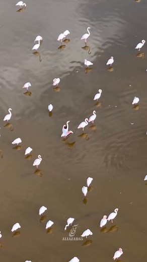 11K views · 708 reactions | IRAN | Iran Tourism | Facebook