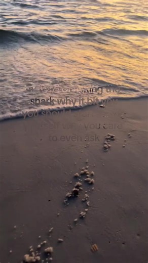 Ok?.. #novemberrain #foryoupage #trend | november rain