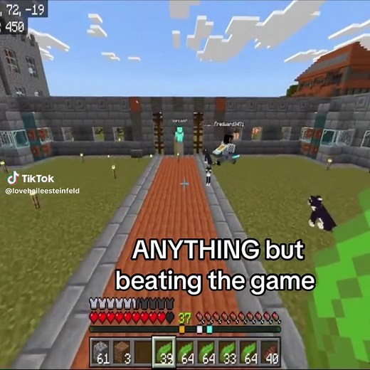 Epic Minecraft Chicken Adventures