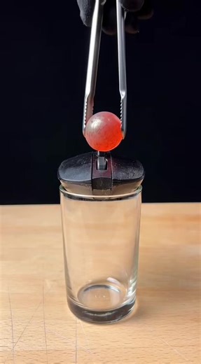 Mouse experiment ☄️😱 #mouse #experiment #redballexperiment #redball #tiktokviral