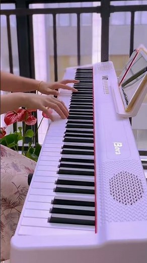 Đàn Piano Gấp Bora BX-40 (BX-40 Folding Piano)