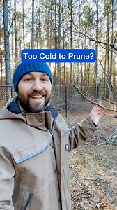 33K views · 643 reactions | ❄️ When do you plan to prune your fruit...