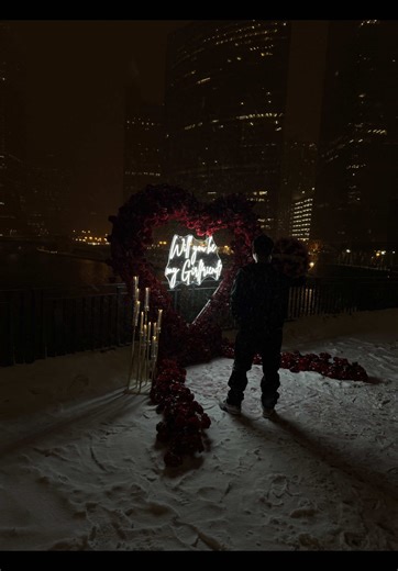 Chicago Proposal: Surprise Amidst Unpredictable Snow