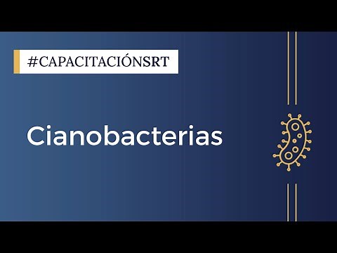 CIANOBACTERIAS
