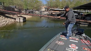 203K views · 3K reactions | Shout out to the MLF camera operators! These shots are second to none. Watch James Watson Professional Angler bait this bass into biting at Stage Four on Lake of the Ozarks. | Major League Fishing | Facebook