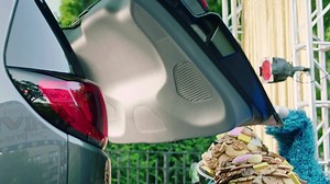 Happy Sesame Street Day! Help us celebrate our partners at Sesame Street and bring education to children in need by supporting their Yellow Feather Fund. www.yellowfeatherfund.org/donate | Chrysler