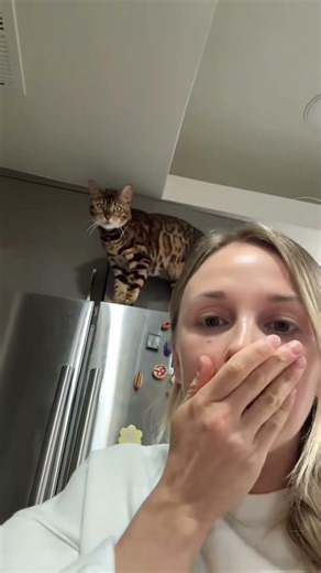 This is so funny, l couldn't stop laughing #funny#doddlersoft#funnyvideos#duet