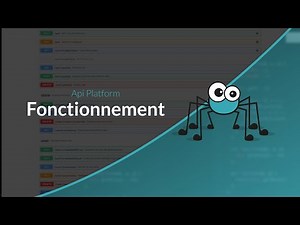 API Platform Discovery: How API Platform Works