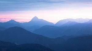 Research and insights