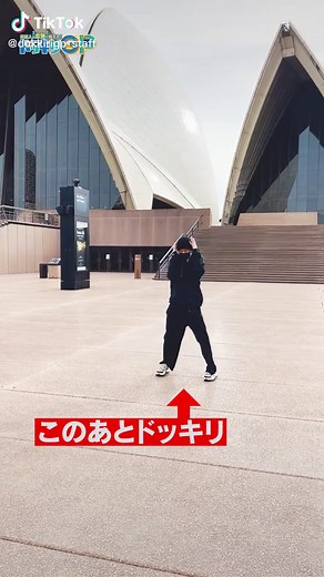 向井康二のドッキリ集：スーツケース失踪事件