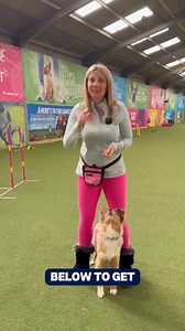 73 reactions · 228 comments | Ready for a FREE LIVE dog training event on Tuesday 18 March at 7pm GMT that will show you how to get the results you want in your dog training with the power of play? Don't worry if your dog isn't a foodie or super toy-motivated, we're here to help! Claim your spot today by commenting 'PLAY' below and we'll send you the registration link in your DMs. | absoluteDOGS | Facebook