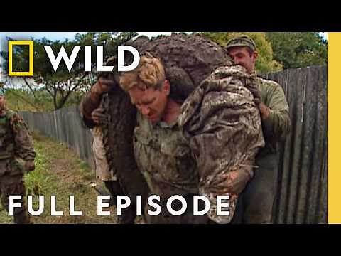 Inside Dens of Danger (Full Episode) | Dangerous Encounters | Nat Geo Animals