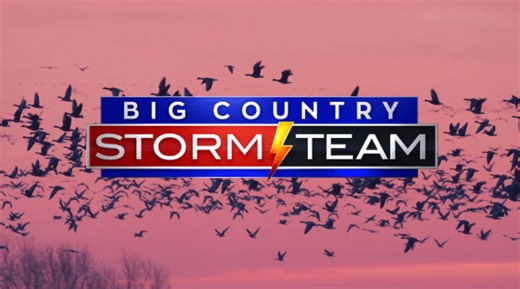 Bird Migration in the Big Country: Millions of birds soar overhead