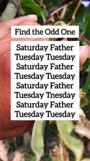 Find the Odd One | Visual Logic Challenge | Ep.156