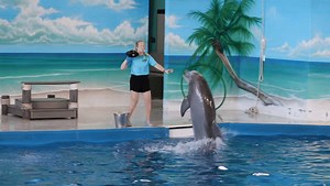 3.2K views | The Institute for Marine Mammal Studies on Reels | Facebook