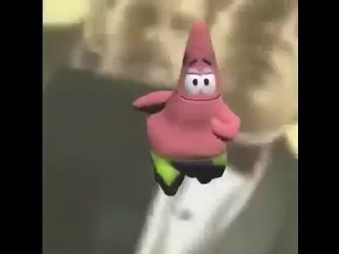 Patricio Bailando el Baile Perfecto por 1 (HORA)