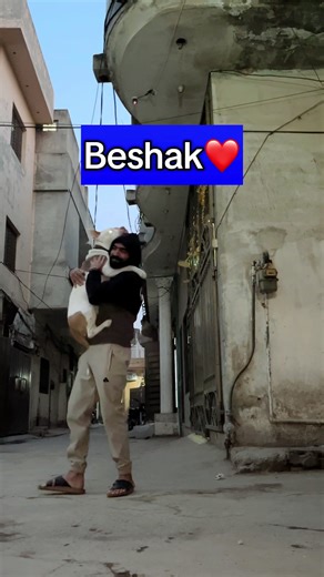 Understanding Dog Behavior and Safety Tips