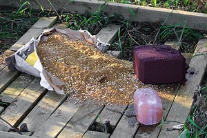 Best Salt Block For Deer 2025 – Reviews & Buyer’s Guide (May. 2025)