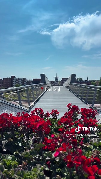 Explore Delfzijl: A Quick 30-Minute Trip from Groningen