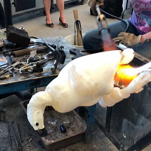 854K views · 123 reactions | Hi guys, the next place will be at the...