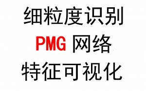 PMG特征可视化